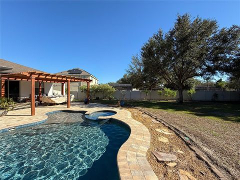 A home in MOUNT DORA