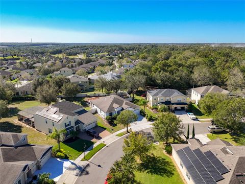 A home in MOUNT DORA