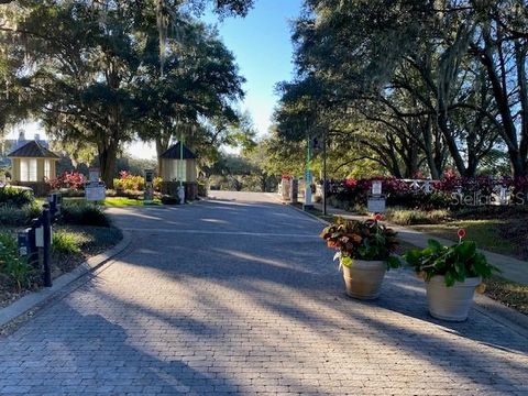 A home in MOUNT DORA