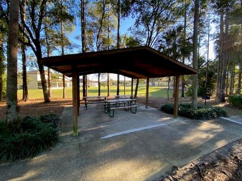 A home in MOUNT DORA