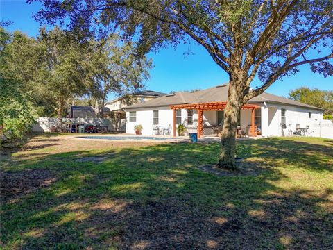 A home in MOUNT DORA