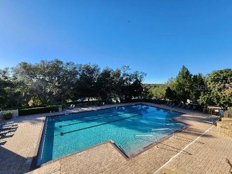 A home in MOUNT DORA