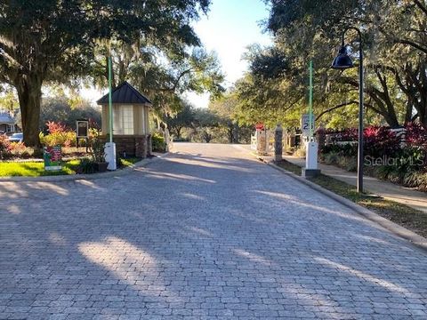 A home in MOUNT DORA