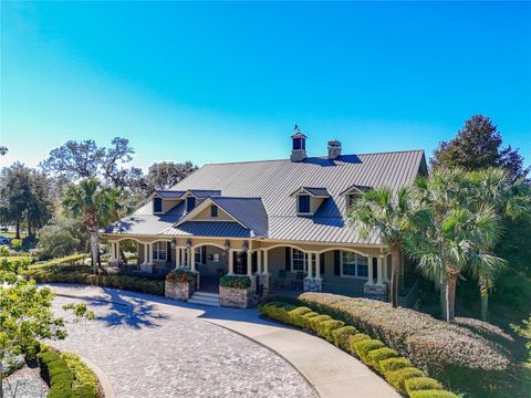 A home in MOUNT DORA