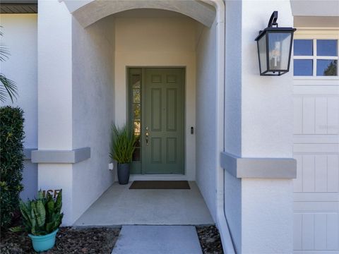 A home in MOUNT DORA