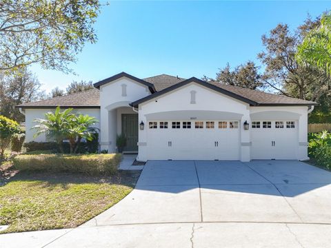 A home in MOUNT DORA