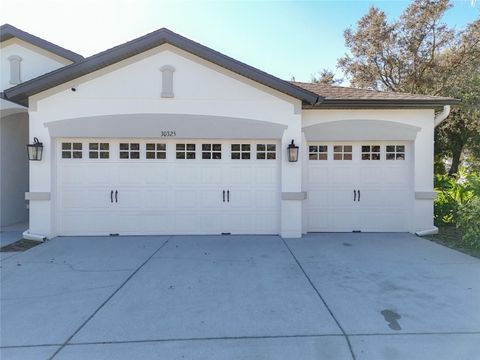 A home in MOUNT DORA