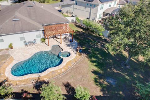 A home in MOUNT DORA