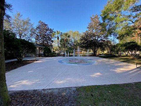 A home in MOUNT DORA