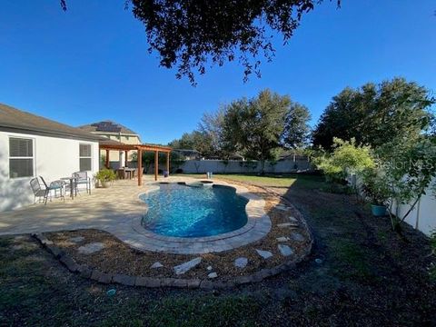 A home in MOUNT DORA