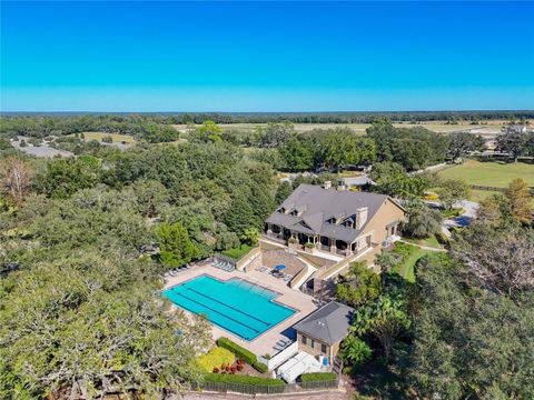 A home in MOUNT DORA