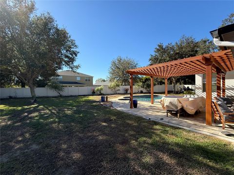 A home in MOUNT DORA