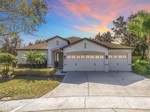 A home in MOUNT DORA