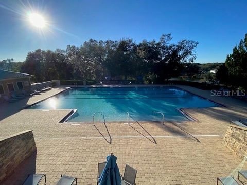 A home in MOUNT DORA