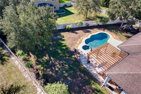 A home in MOUNT DORA