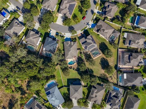 A home in MOUNT DORA