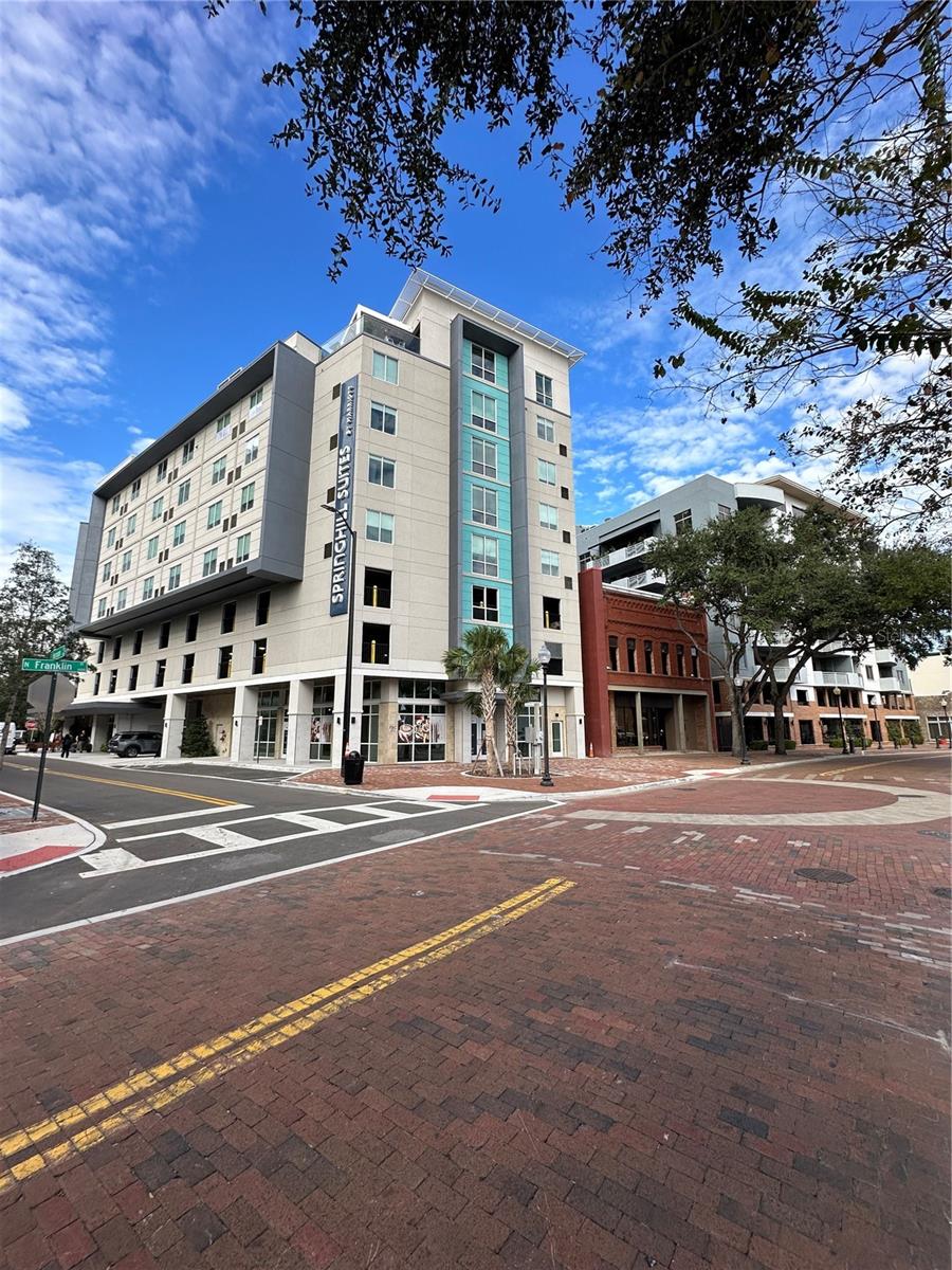 TAMPA GENERAL MAP OF 1853 - Commercial Sale