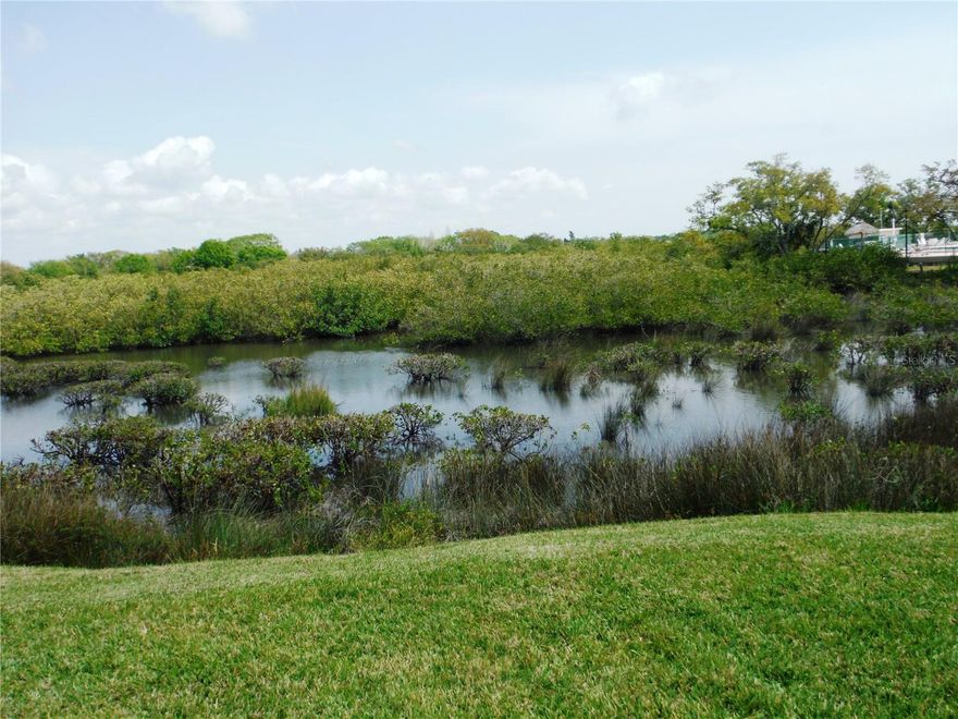 Great well cared for property located on the water. This water location is where the bay meets the end of Lake Tarpon so the water is brackish.  What a gorgeous view! The living room and the enclosed porch face this stupendous view. The kitchen has modern stainless steel appliances and an island kitchen. Cupboards were redone. Vapor barrier in 2023. This home has laminate floors and in the kitchen there is ceramic tile.  Bedrooms are carpet. Windows have been replaced.  This is a super property!  You may have a cat, but sorry, no dogs.  This 55+ community has a maintenance fee of $241/Month which includes water, sewer, trash, lawn, private roads, gym, shuffleboard, heated pool & spa and clubhouse.  You own the deeded lot which is included in the price. Home is around the corner from the clubhouse.  Room measurements approximate.