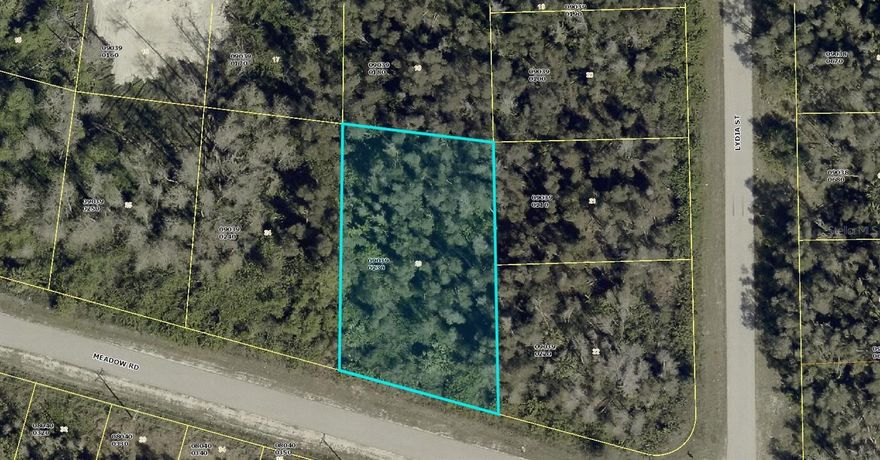 A VACANT LOT IN LEHIGH ACRES IN LEE COUNTY!!!
