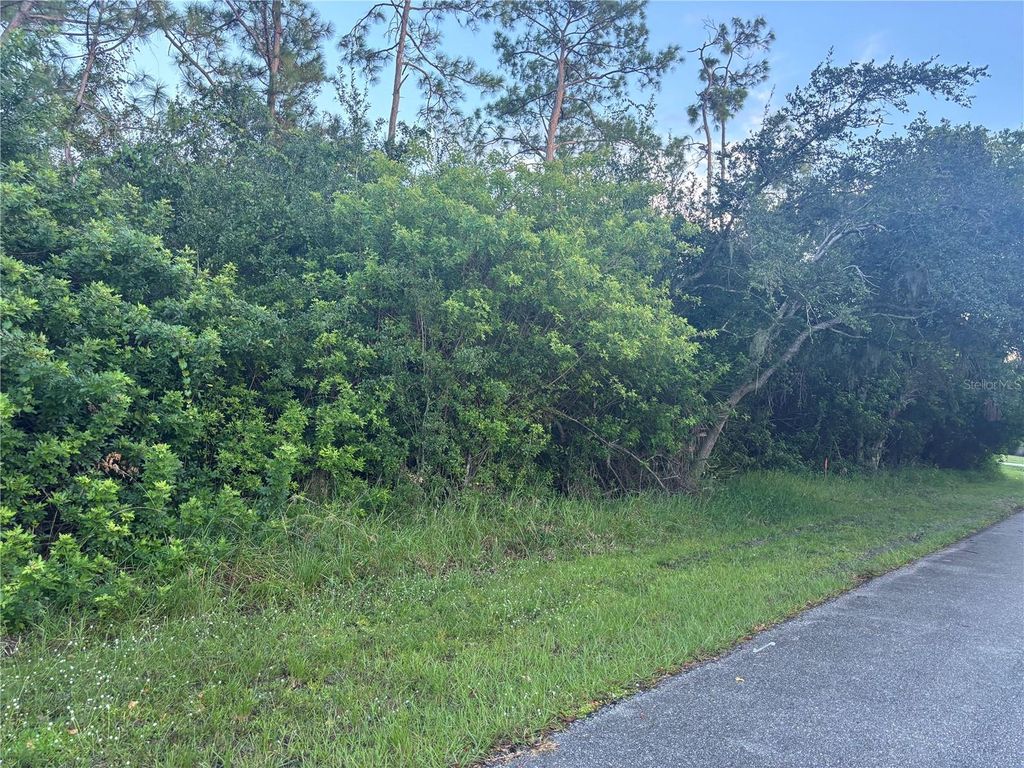 Photo of 919 Phyllis Terrace, Port Charlotte, FL 33948 (MLS # C7515939)