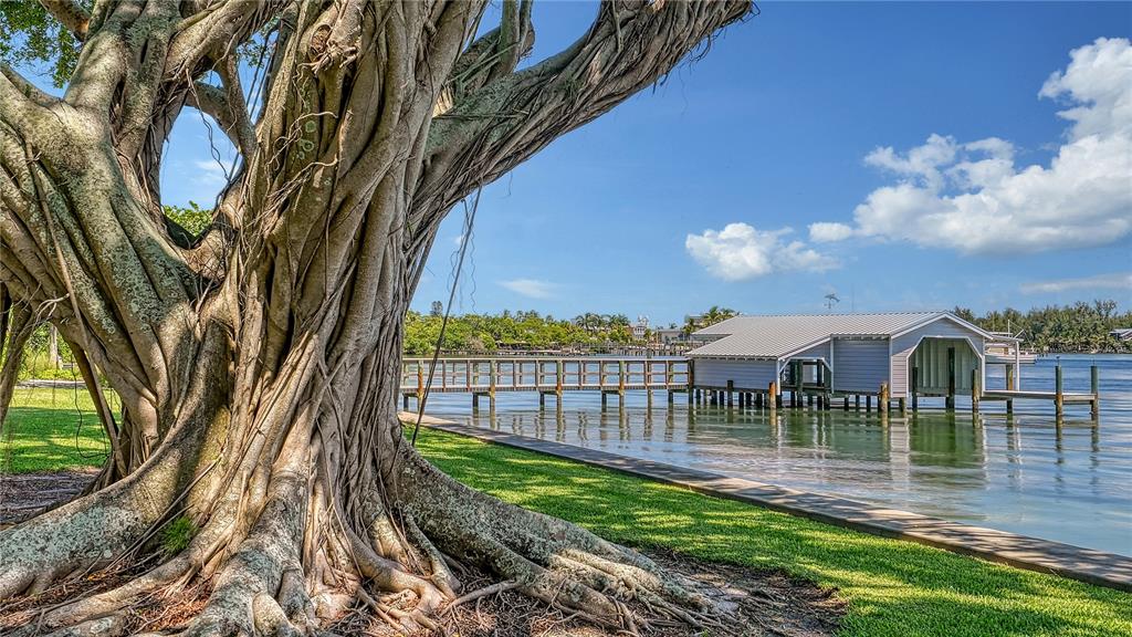 HIBISCUS WAY - Residential