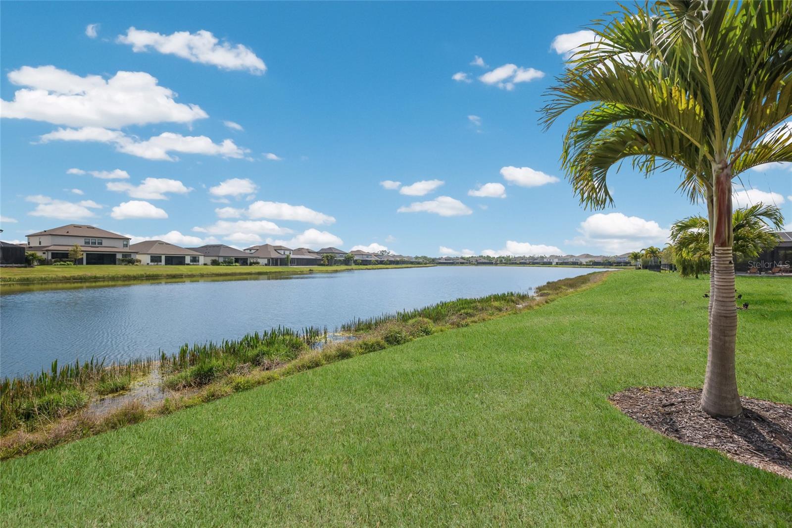 PARK EAST AT AZARIO PH I SUBPH A & B - Residential