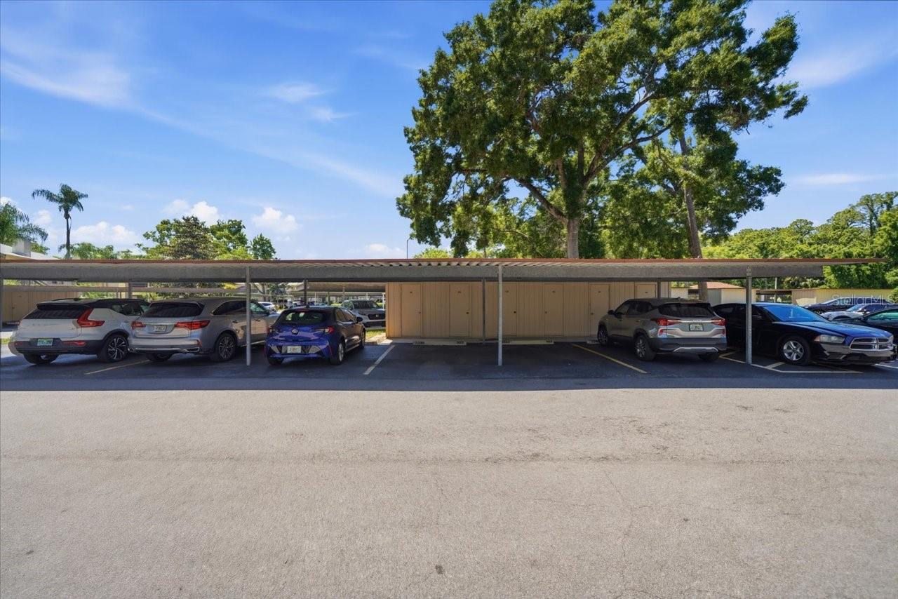 FARRELL PARK CONDO - Residential