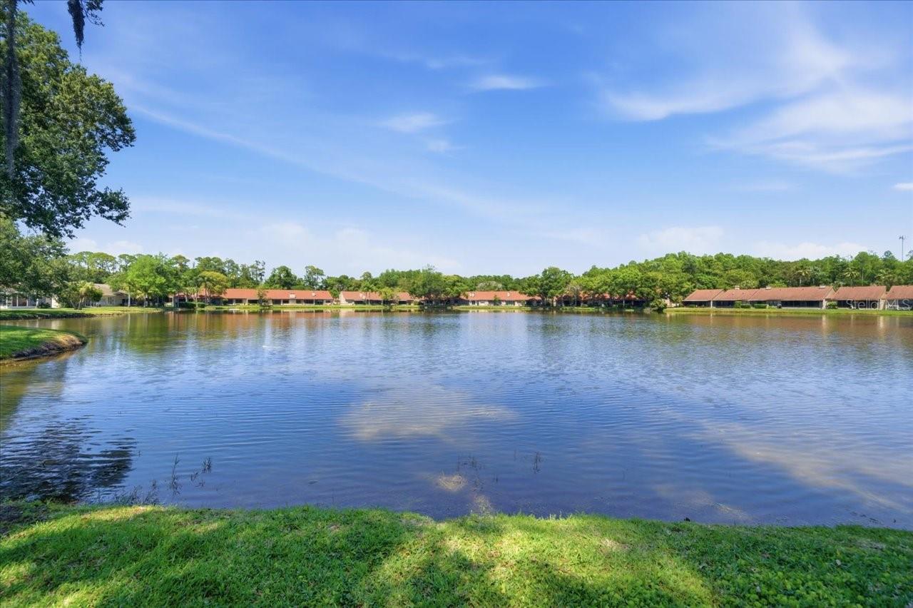 FARRELL PARK CONDO - Residential