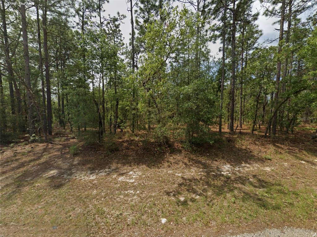 Photo of 1022 W Cary Drive, Citrus Springs, FL 34434 (MLS # O6372328)