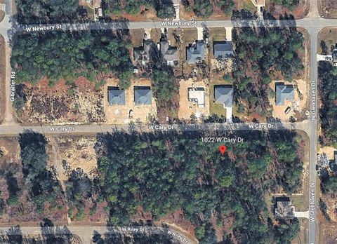 1022 W CARY DRIVE CITRUS SPRINGS FL 34434