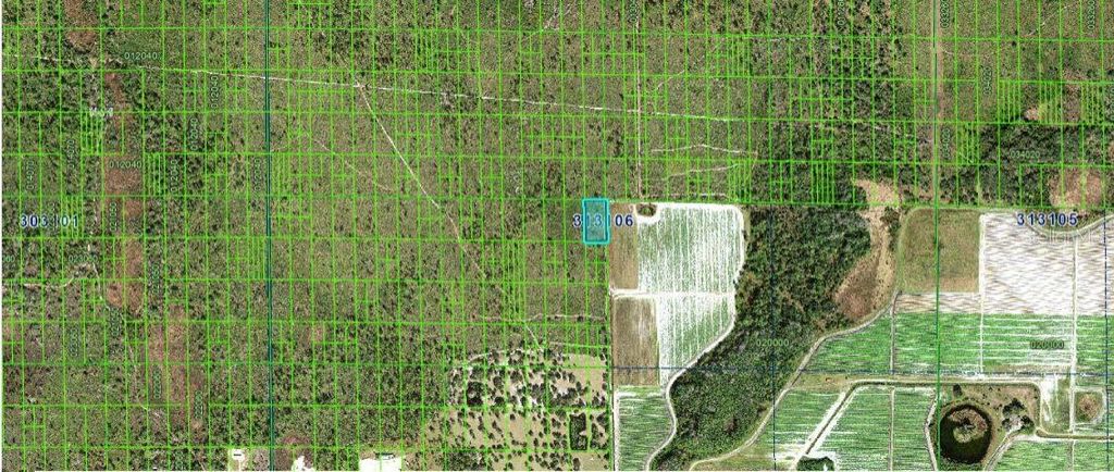 Photo of Grape Hammock Rd, Lake Wales, FL 33898 (MLS # O6300326)