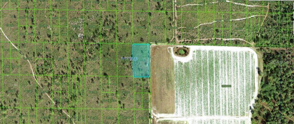 Photo of Grape Hammock Rd, Lake Wales, FL 33898 (MLS # O6300326)