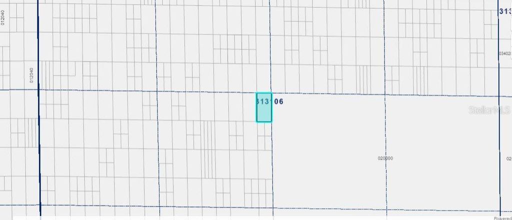 Photo of Grape Hammock Rd, Lake Wales, FL 33898 (MLS # O6300326)