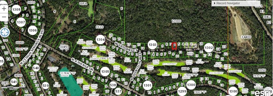 A spacious piece of land in Citrus Spring, Florida. Perfect for building your dream home or as an investment. The lot is in a quiet neighborhood, close to local amenities, schools, and parks. Enjoy the sunny Florida weather and a relaxed lifestyle.