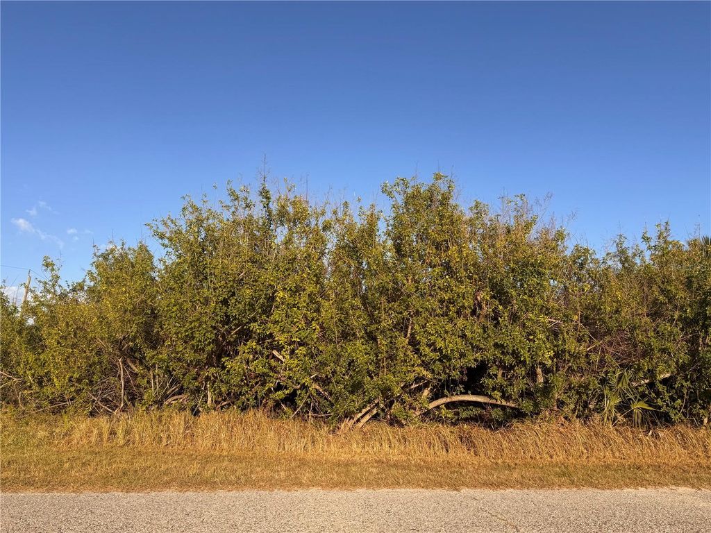 Photo of 14303 Cando Avenue, Port Charlotte, FL 33981 (MLS # D6138412)