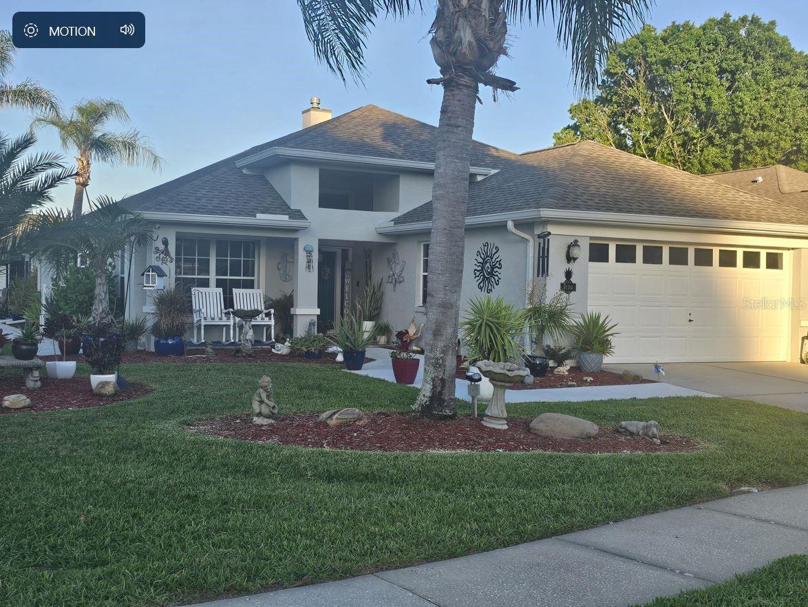 View NEW PORT RICHEY, FL 34655 house