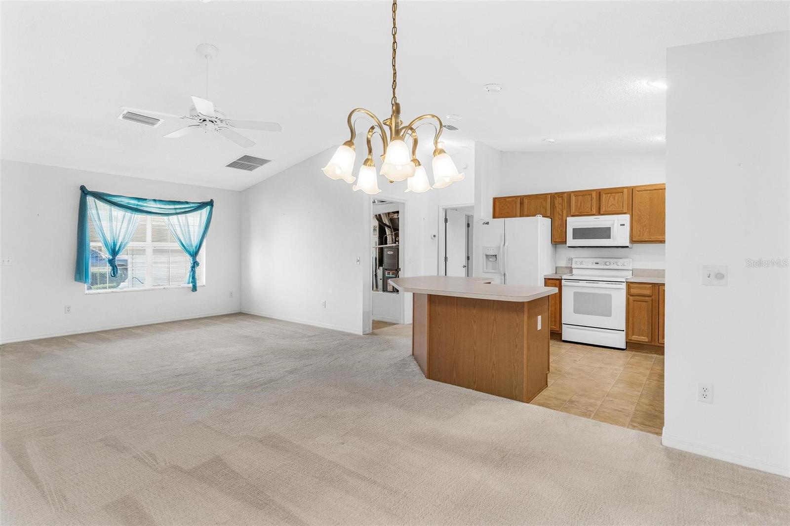 THE VILLAGES OF SUMTER - Residential