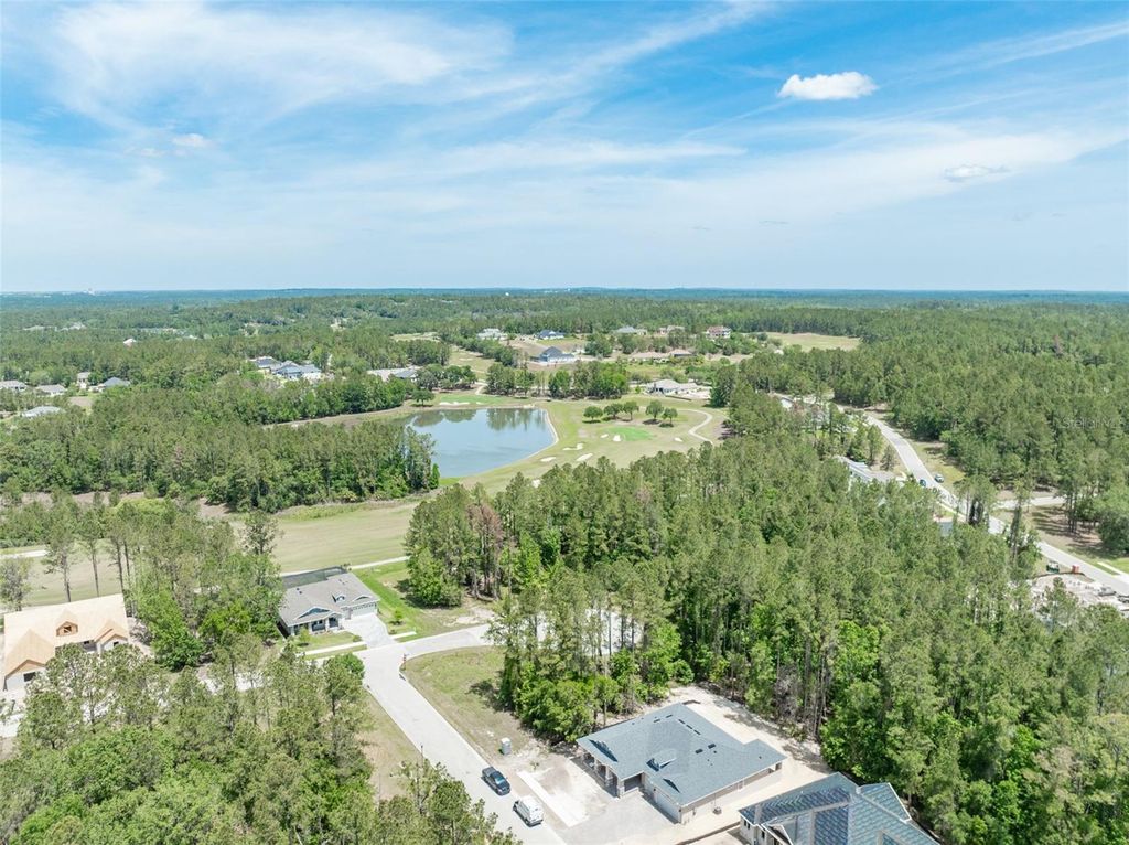 Photo of 5062 Elm Leaf Drive, Brooksville, FL 34601 (MLS # TB8333356)