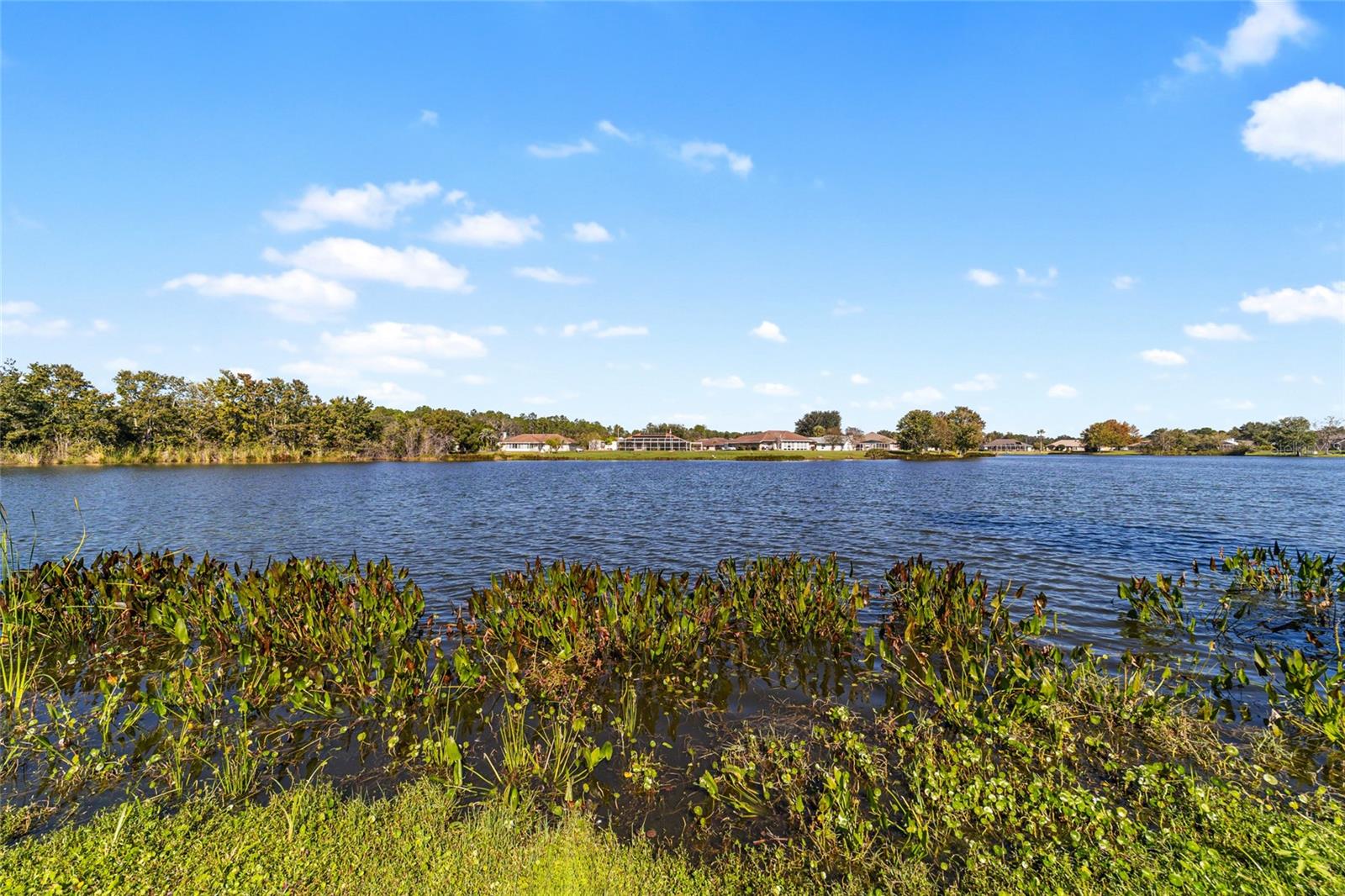 SILVER SPGS SHORES #27 - Residential