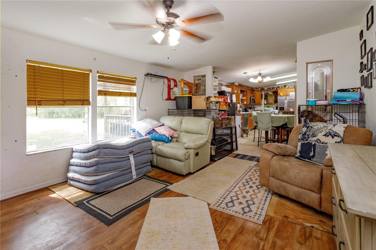 12225 SHILOH ACRES DRIVE