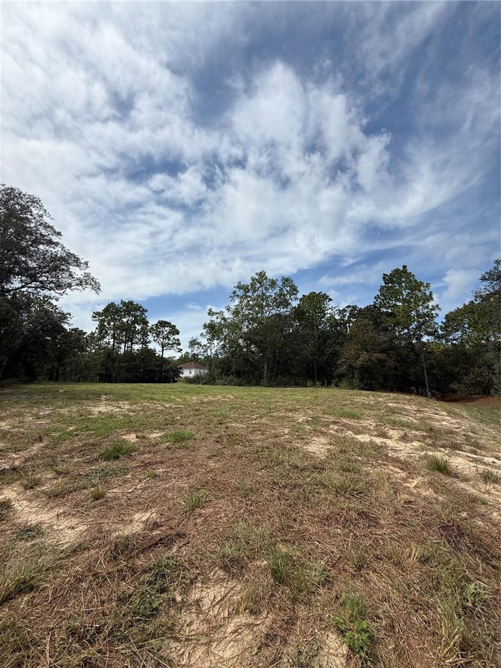 Photo of 813 W Haguer Place, Dunnellon, FL 34434 (MLS # O6345722)