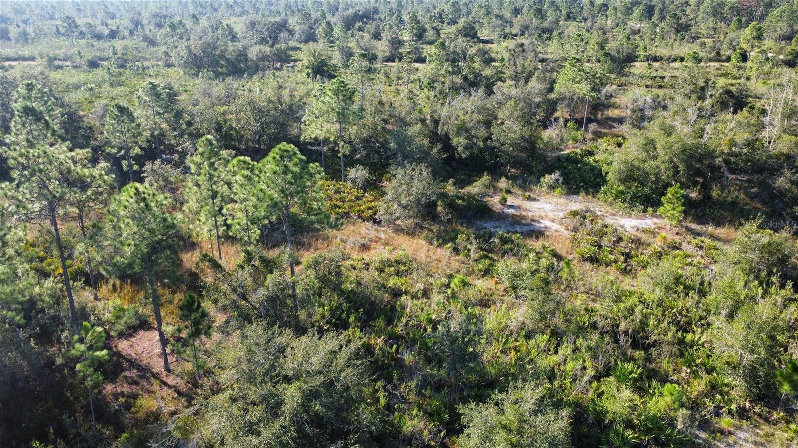 INDIAN LAKE ESTATES - Land