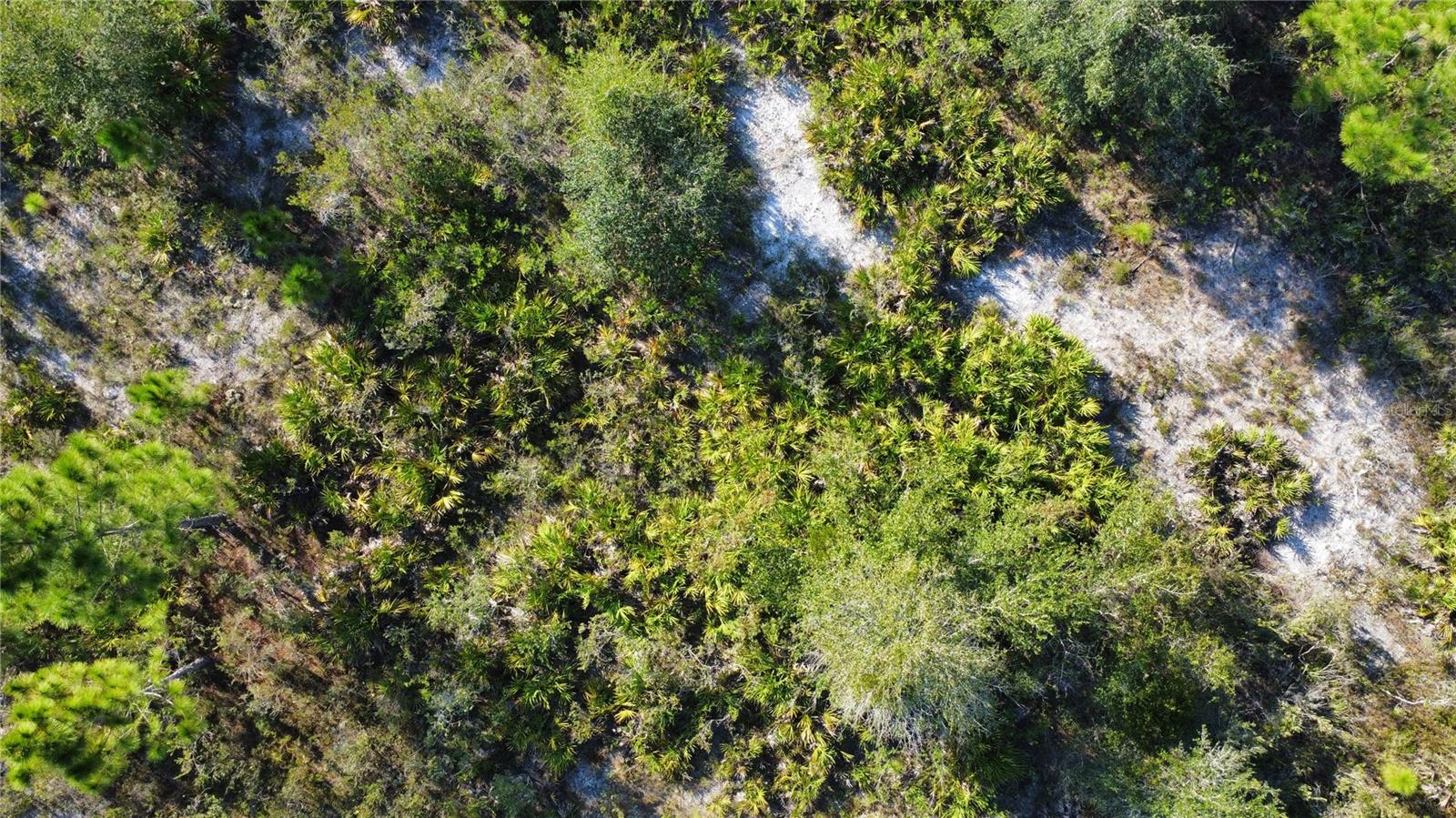 INDIAN LAKE ESTATES - Land