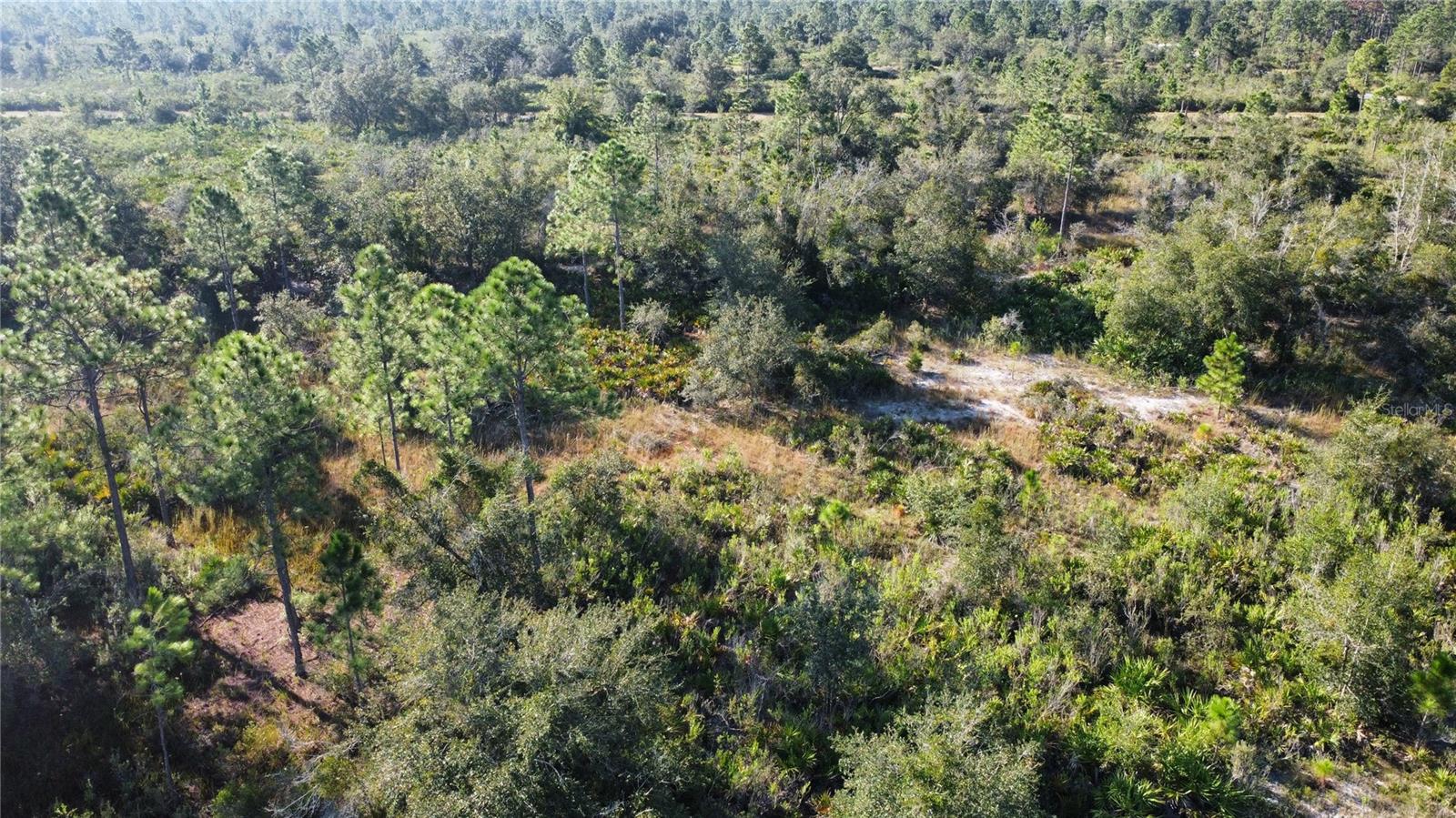 INDIAN LAKE ESTATES - Land