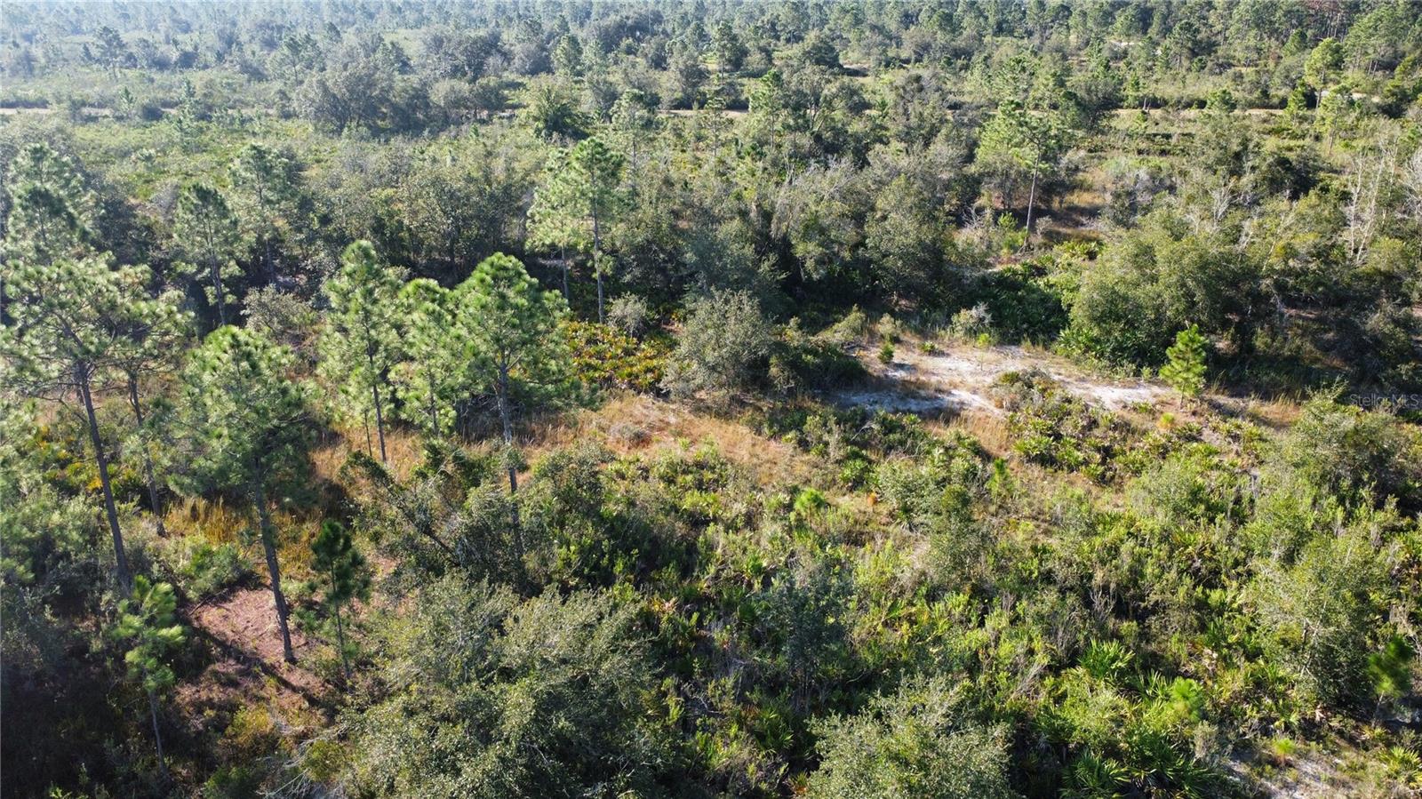 INDIAN LAKE ESTATES - Land