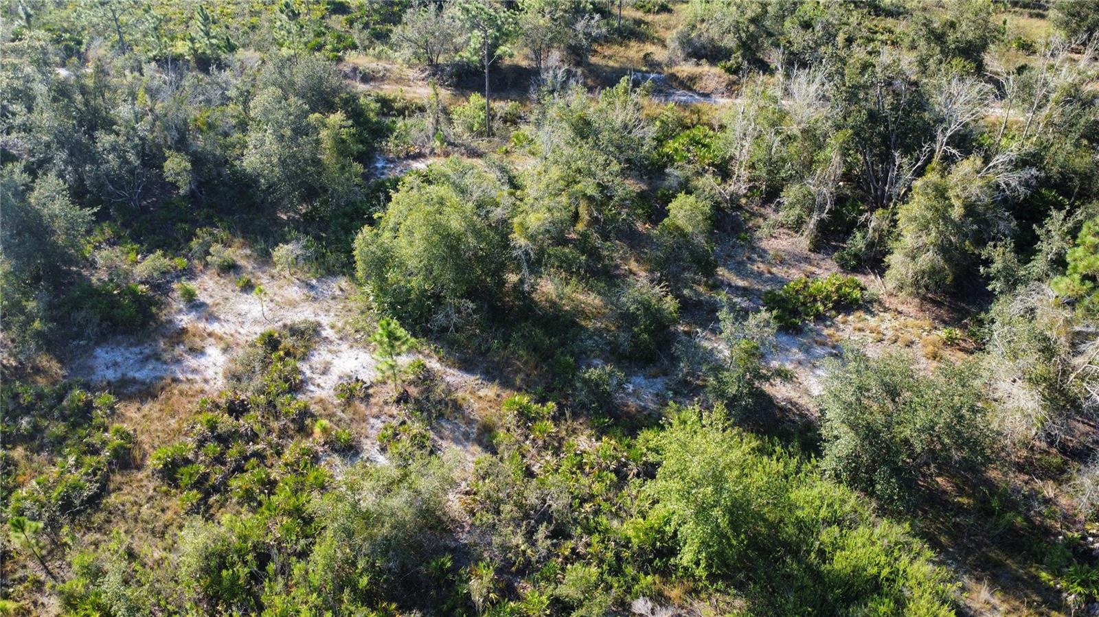 INDIAN LAKE ESTATES - Land