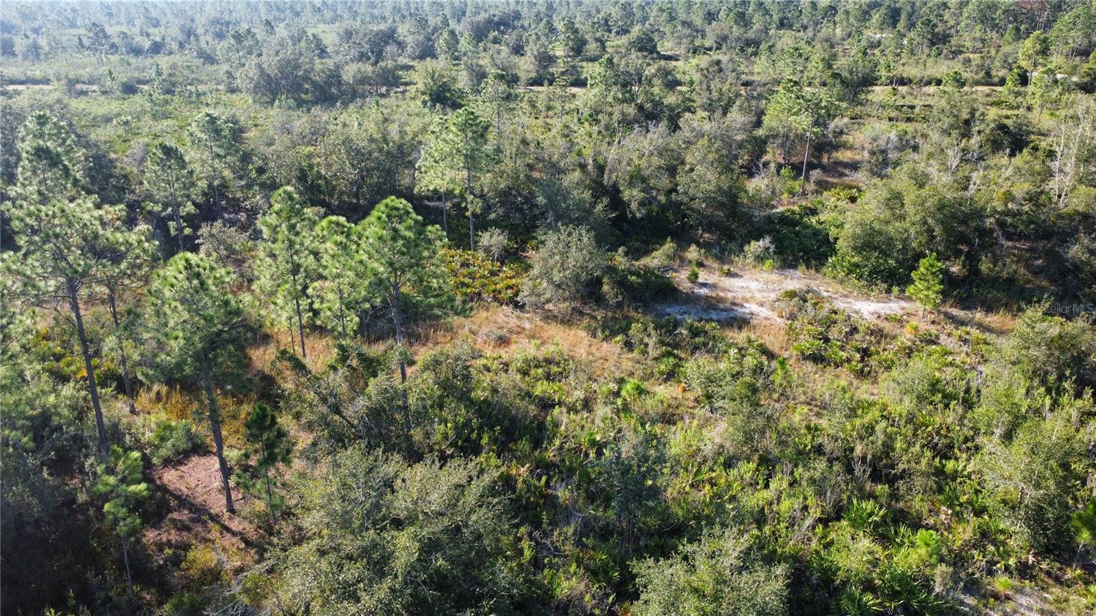 INDIAN LAKE ESTATES - Land