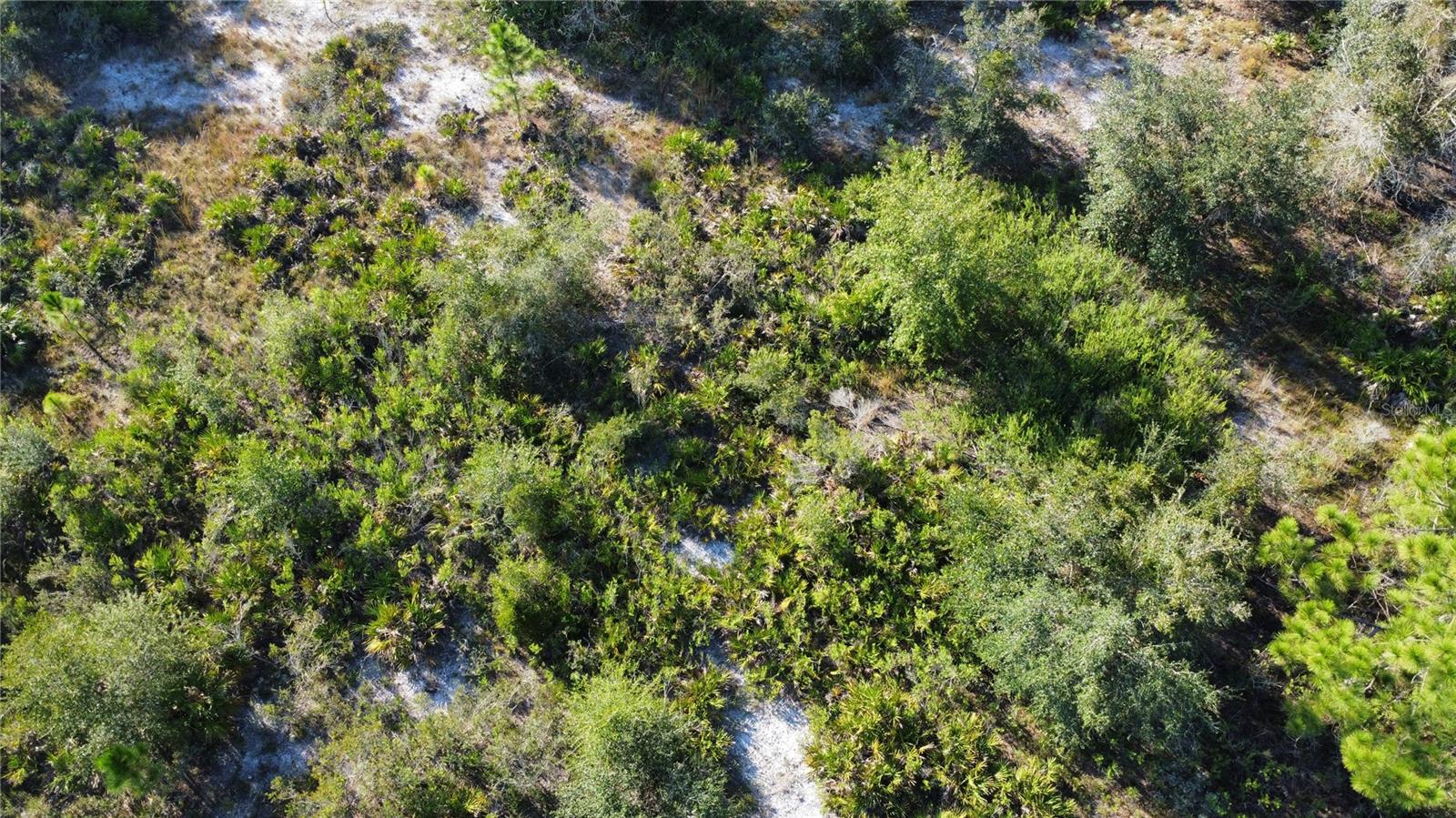 INDIAN LAKE ESTATES - Land