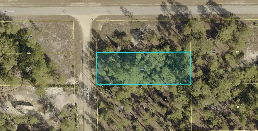 A VACANT LOT IN LEHIGH ACRES IN LEE COUNTY!!!
