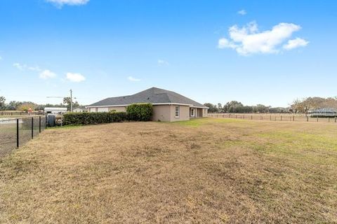 Tiny photo for 3305 NE 106th Street, Anthony, FL 32617 (MLS # OM715089)